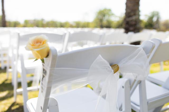 Planned to Perfection Events and Rentals - 1