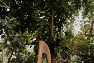 Harp Elegance: Joanna Whitsett, harpist - 6