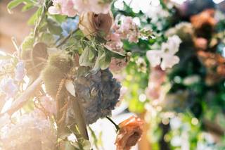 Beautiful Savage Flowers - 44