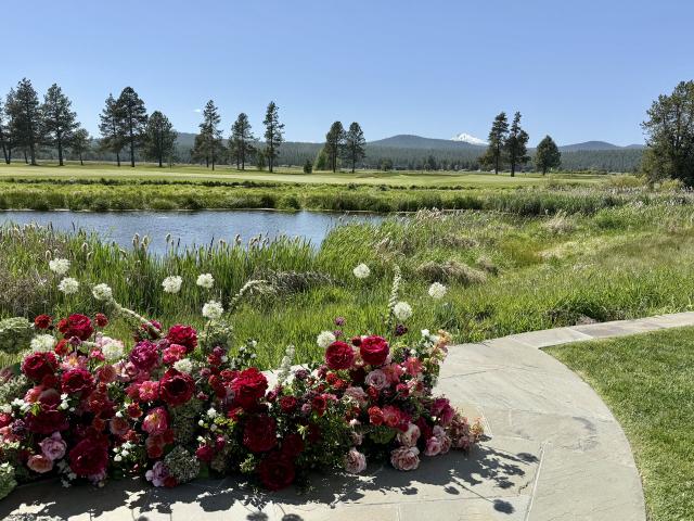 Summer Robbins Flowers - 3