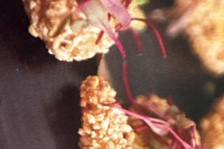 Eleven Courses Catering - 5