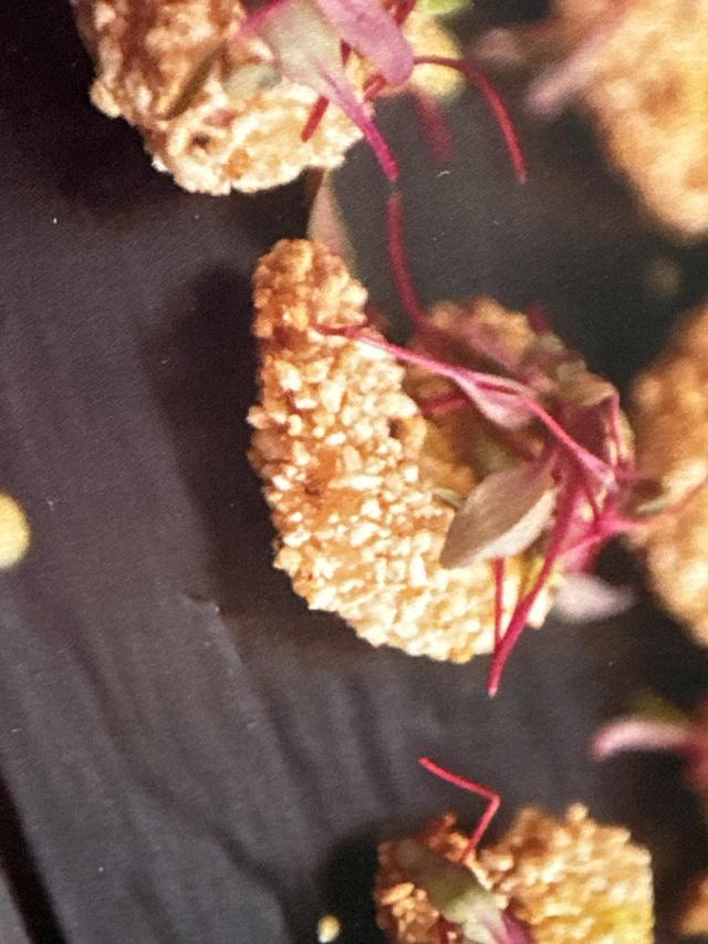 Eleven Courses Catering - 2