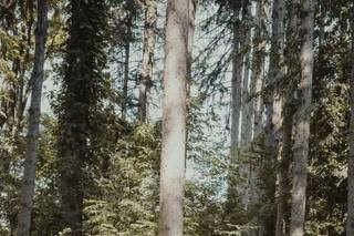 AJ's Photography - 6