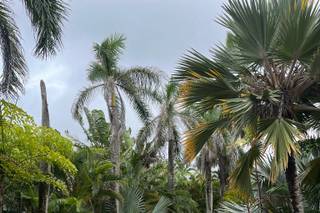 Oahu Wedding Villas & Venues - 20