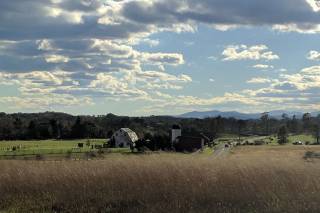 East Lynn Farm - 22