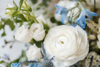 everyone deserves flowers. - 39