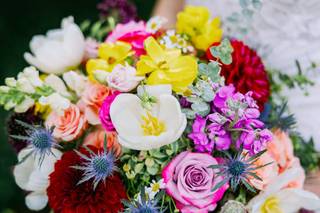 Occasions by Emily - 20
