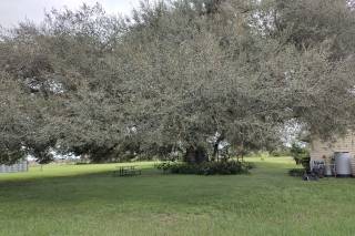 Serene Oaks Venues - 4