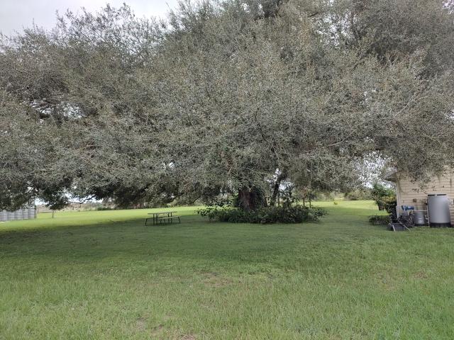 Serene Oaks Venues - 2