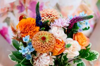 Garden and Roads - 6