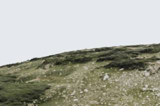 Alex Mabrey Photography - 10
