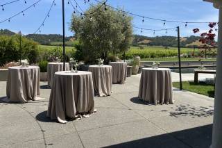 Gramm Vineyards - 5