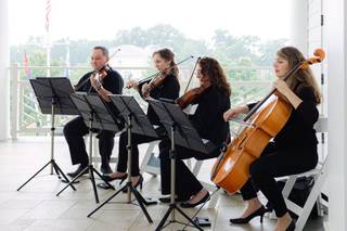 Cherry Blossom String Quartet - 8