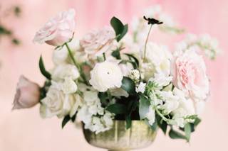 Plume Events - 11