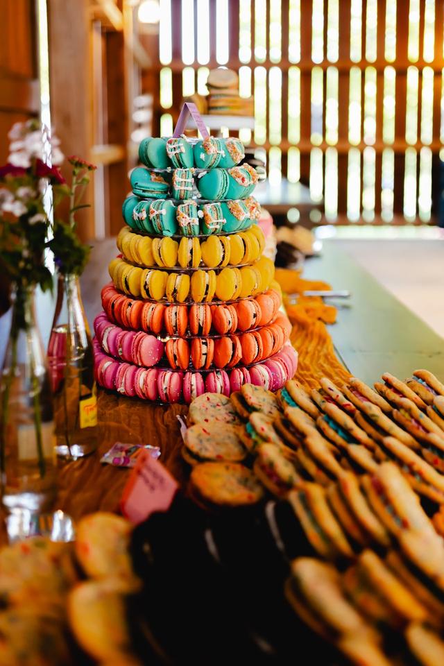 Tastee Treats - 2