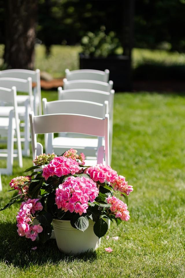 Maple Leaf Events - 2