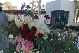 Art & History Museums, Maitland - 74