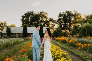Lumos Wedding Photography - 13