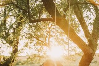 Jeff Hall Photography - 36