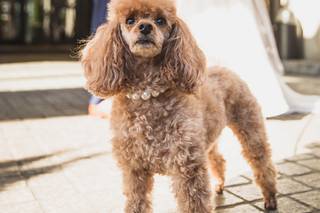 Aimee Custis Photography - 14