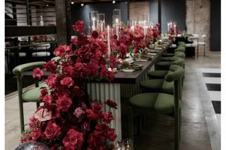Dantus & Co. Events - 5