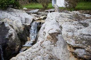 Historic Rosemont Springs - 36