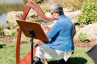 Magical Harps by Amy Lynn Kanner - 11