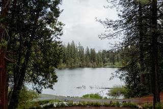 Lake and Wood - 66