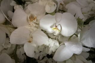 D'Lily's Flowers - 4