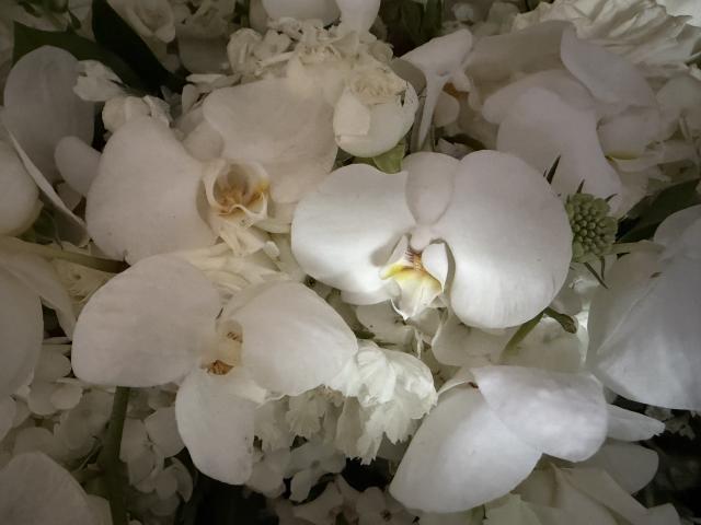 D'Lily's Flowers - 1