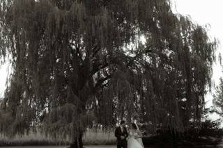 Mulberry Lane Farm - 5