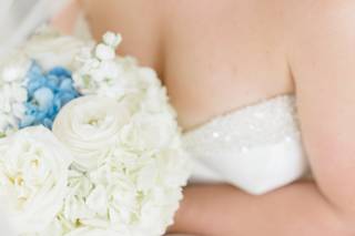 Susan Elizabeth Photography - 5