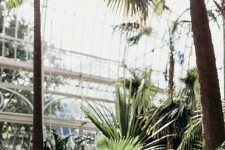 Phipps Conservatory - 17
