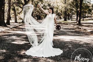 Phocus Photography - 86