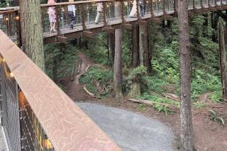 Weddings In The Wild - 23