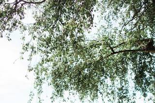 B. Jones Photography - 26