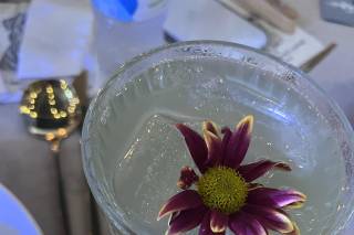 Be You Cocktail Services - 22