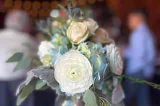 Whimsical Roots Photography - 12