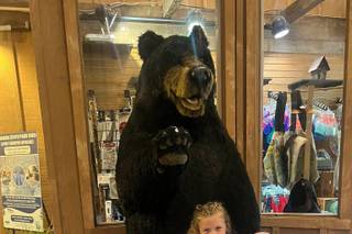 Abe Martin Lodge at Brown County State Park - 7