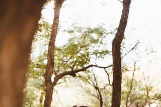 Red Aspen Photography - 25