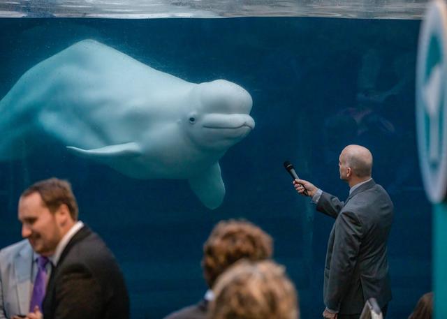 Mystic Aquarium - 3
