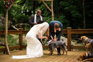 Cynthia Viola Photography - 7