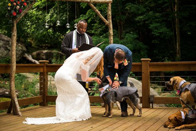 Cynthia Viola Photography - 1