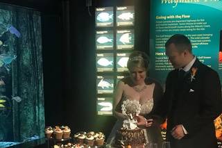 Soo's Chocolate & Bakery - 1