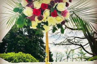 Amoda Decor - 34