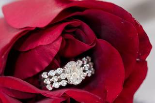 Lindsey Zitzke Photography - 33