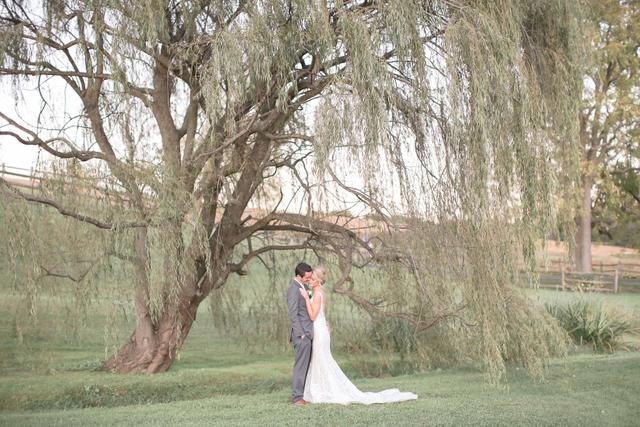 Gillbrook Farms - 4