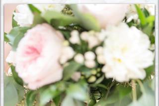 Lisa Lytton Photography - 10