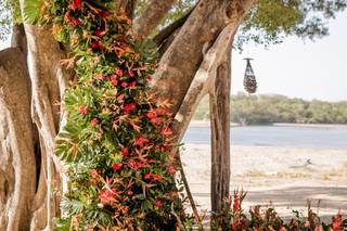 Amore Paraiso Weddings - 34