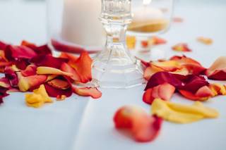 Windflower - 10